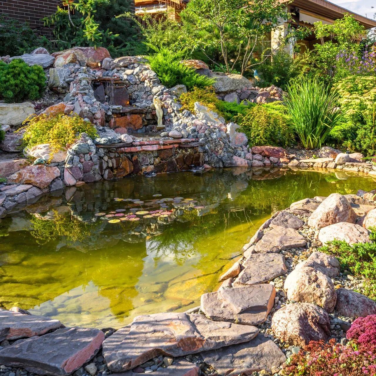 Backyard pond and water feature