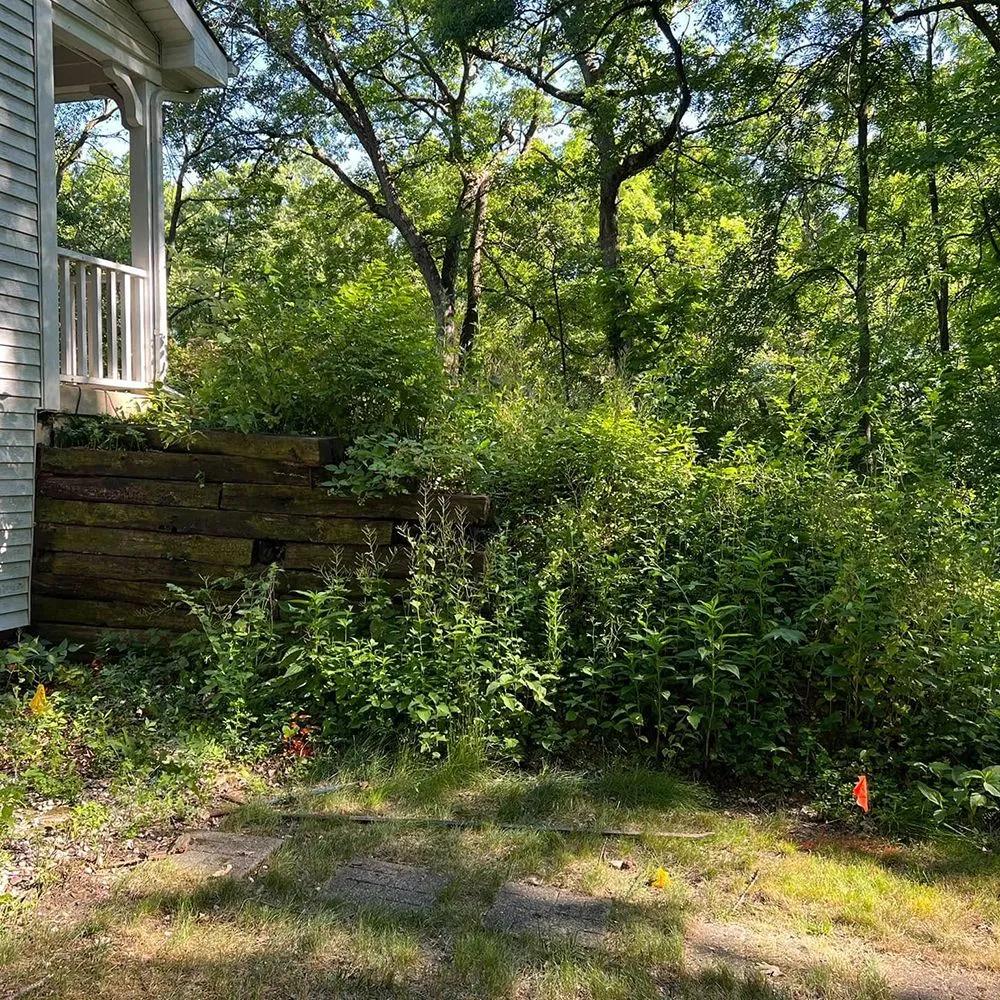 Seasonal cleanup and mulched garden bed