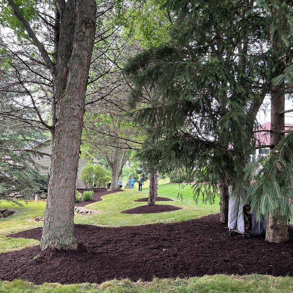Landscaped garden bed with stone border