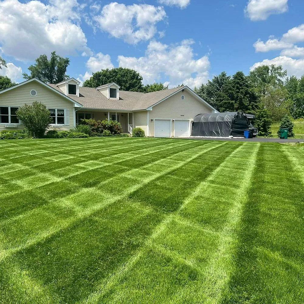 Freshly mowed green lawn