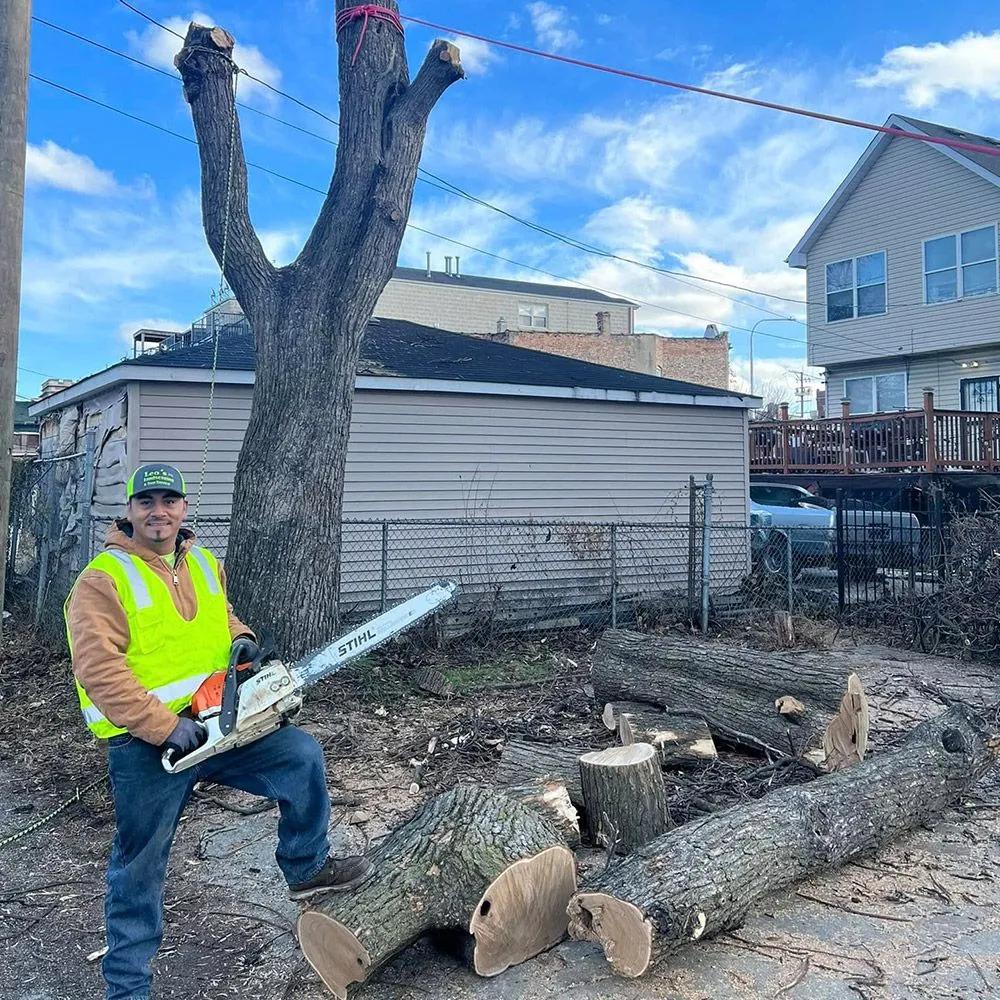 Crew performing tree trimming with bucket lift